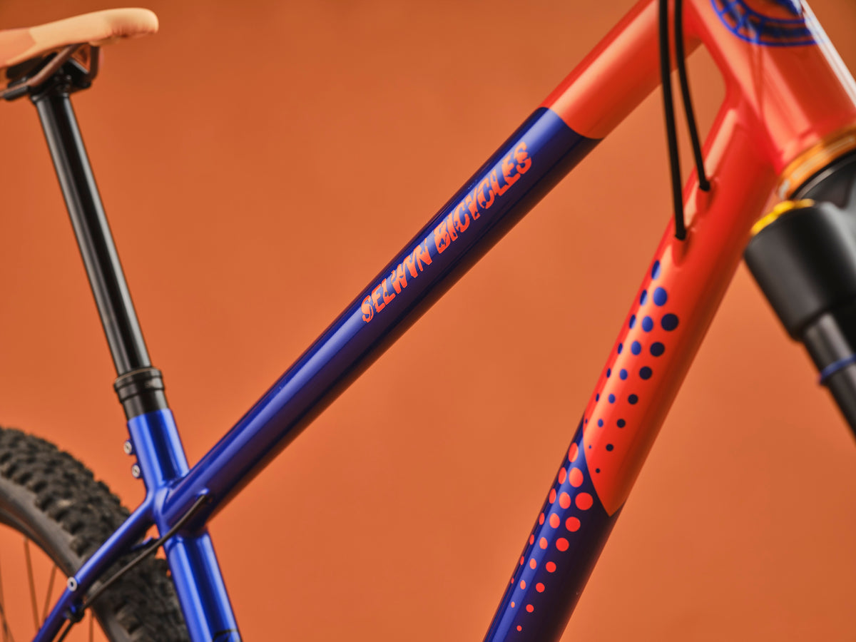 THE BIKEPACKER